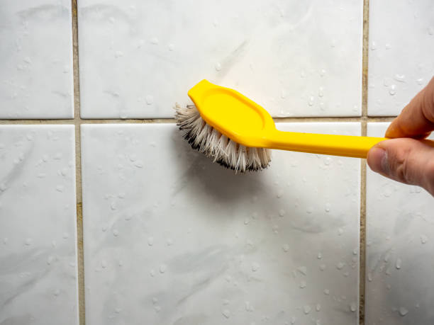 Best Office Mold Removal Services  in Tamalpais Homestead Valley, CA